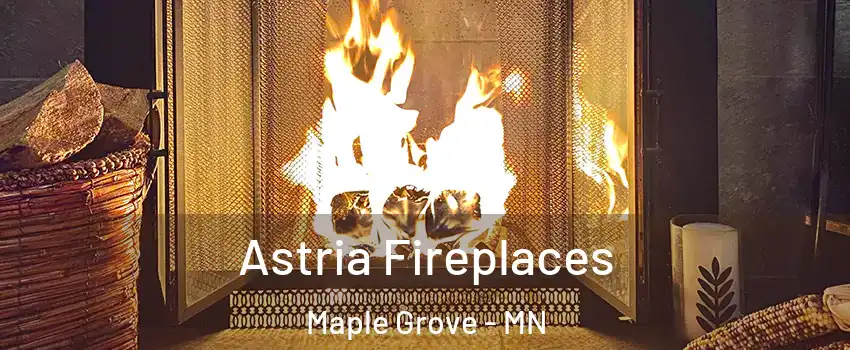  Astria Fireplaces Maple Grove - MN