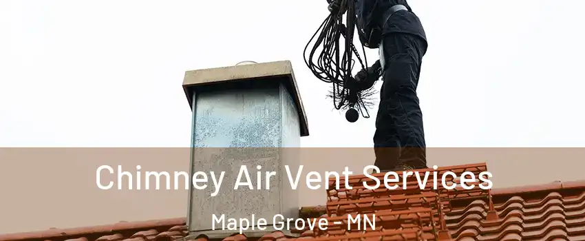  Chimney Air Vent Services Maple Grove - MN