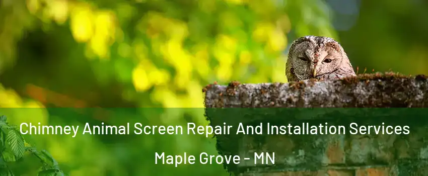  Chimney Animal Screen Repair And Installation Services Maple Grove - MN