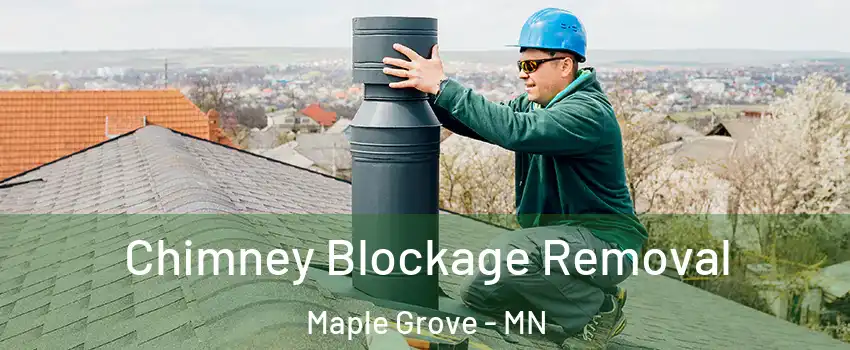  Chimney Blockage Removal Maple Grove - MN