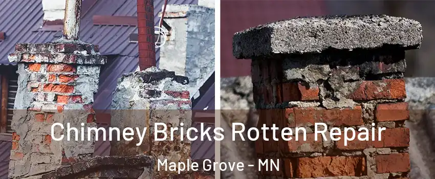  Chimney Bricks Rotten Repair Maple Grove - MN