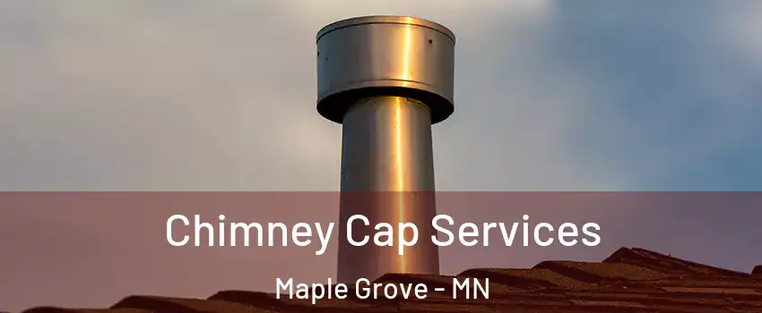  Chimney Cap Services Maple Grove - MN