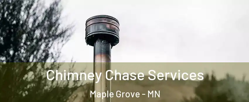  Chimney Chase Services Maple Grove - MN