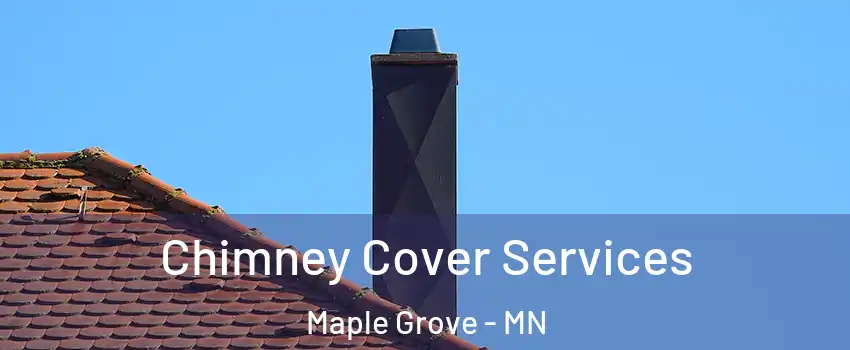  Chimney Cover Services Maple Grove - MN
