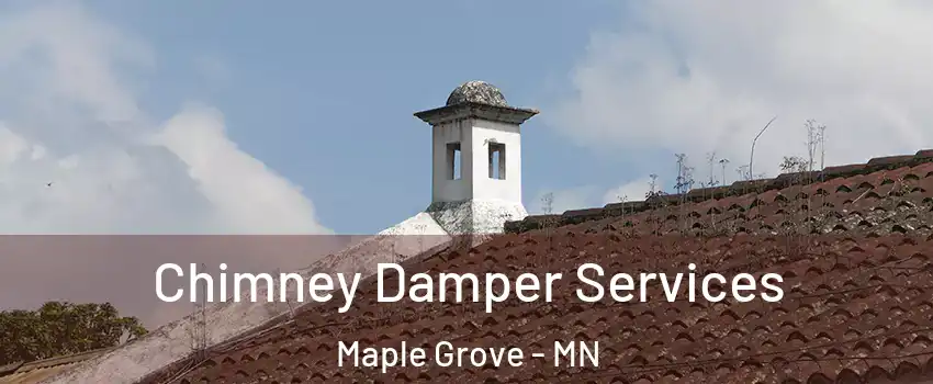  Chimney Damper Services Maple Grove - MN