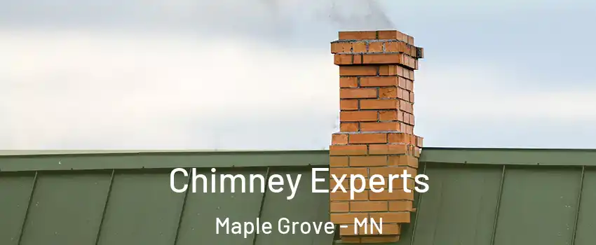 Chimney Experts Maple Grove - MN