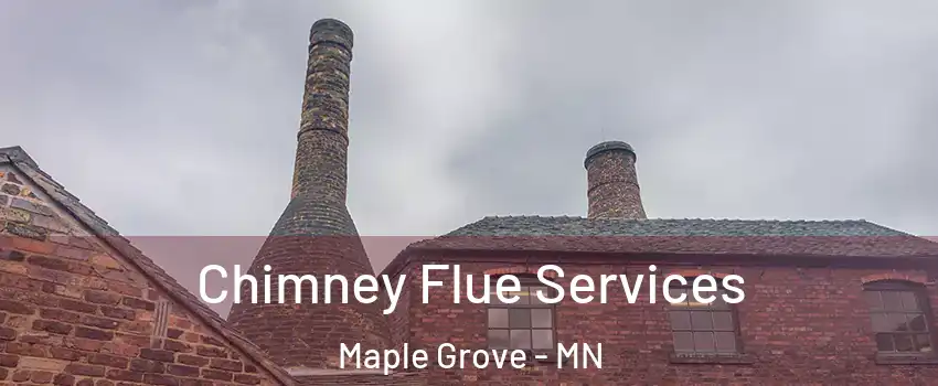  Chimney Flue Services Maple Grove - MN
