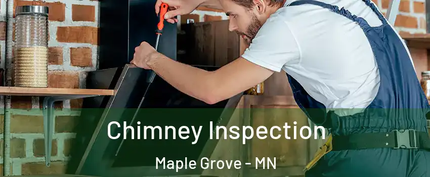  Chimney Inspection Maple Grove - MN
