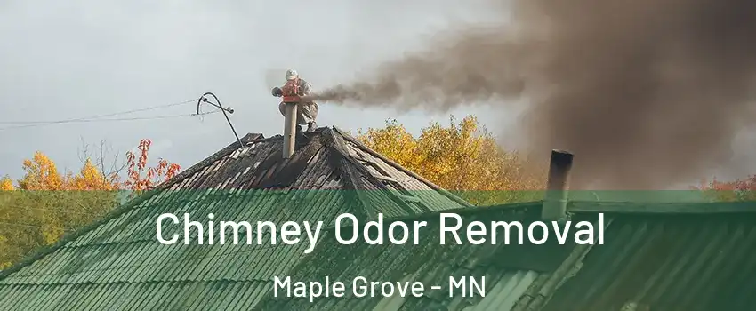  Chimney Odor Removal Maple Grove - MN