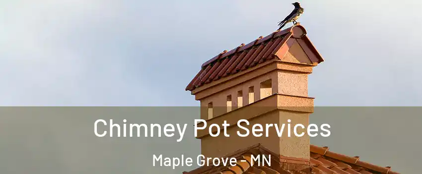  Chimney Pot Services Maple Grove - MN