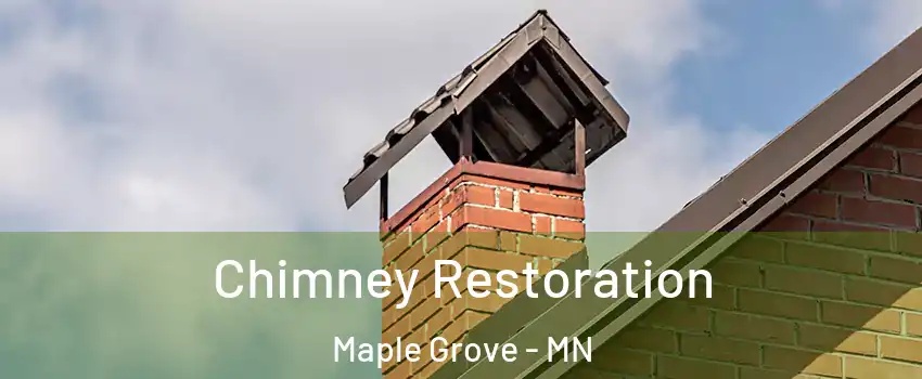  Chimney Restoration Maple Grove - MN
