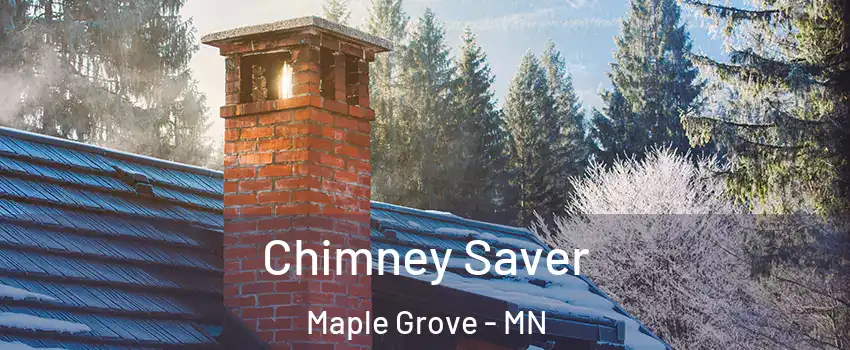  Chimney Saver Maple Grove - MN
