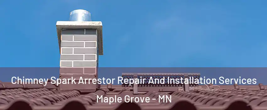  Chimney Spark Arrestor Repair And Installation Services Maple Grove - MN