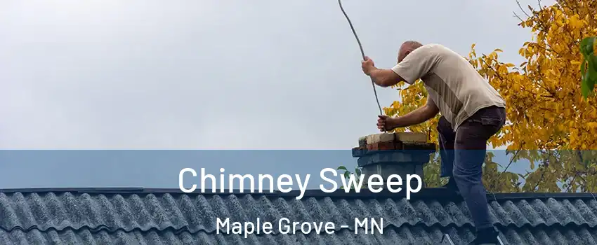  Chimney Sweep Maple Grove - MN