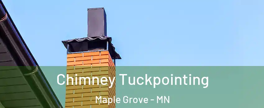  Chimney Tuckpointing Maple Grove - MN