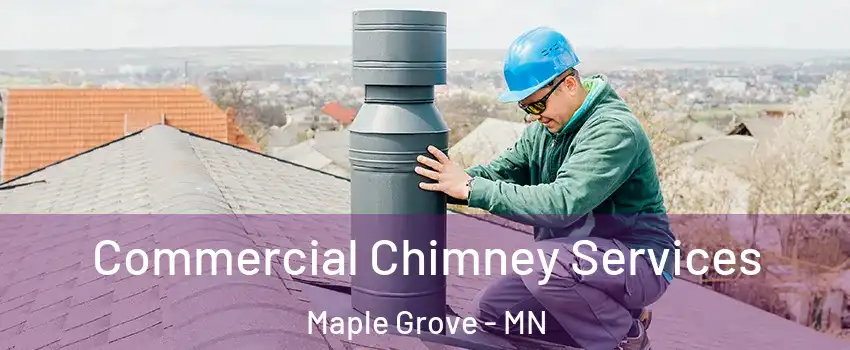  Commercial Chimney Services Maple Grove - MN