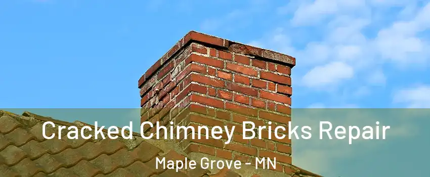  Cracked Chimney Bricks Repair Maple Grove - MN