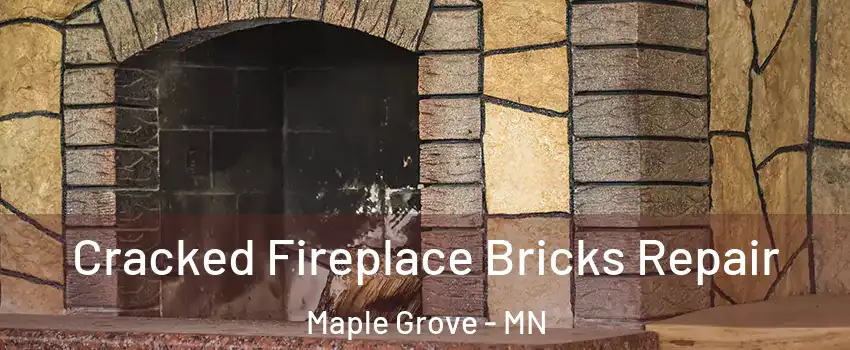  Cracked Fireplace Bricks Repair Maple Grove - MN
