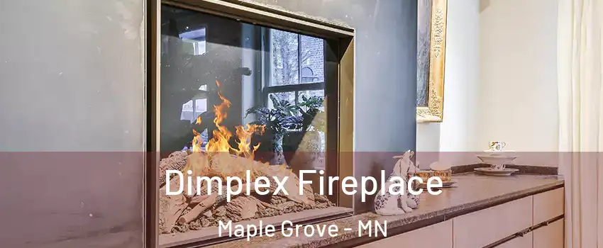  Dimplex Fireplace Maple Grove - MN
