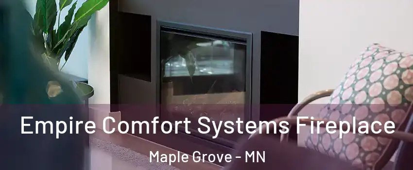 Empire Comfort Systems Fireplace Maple Grove - MN