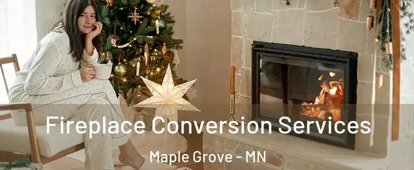  Fireplace Conversion Services Maple Grove - MN