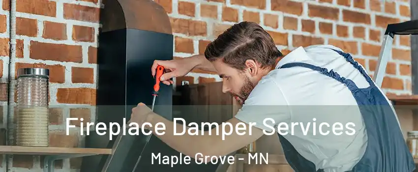  Fireplace Damper Services Maple Grove - MN