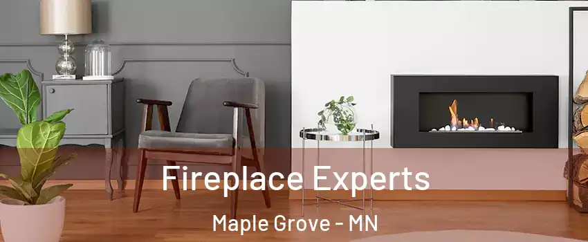  Fireplace Experts Maple Grove - MN