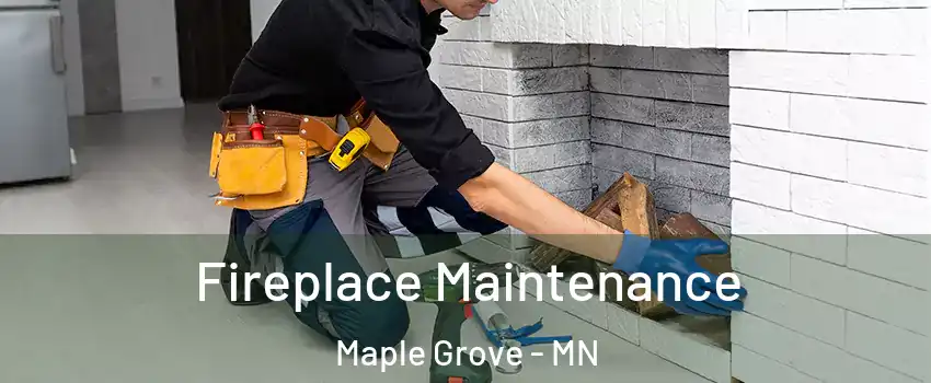  Fireplace Maintenance Maple Grove - MN