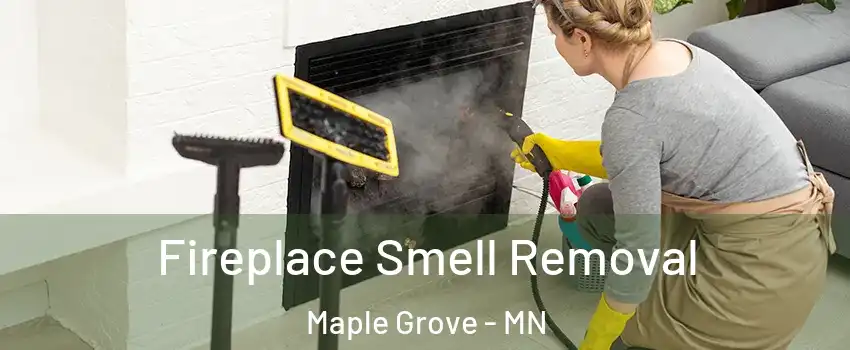  Fireplace Smell Removal Maple Grove - MN