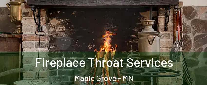  Fireplace Throat Services Maple Grove - MN
