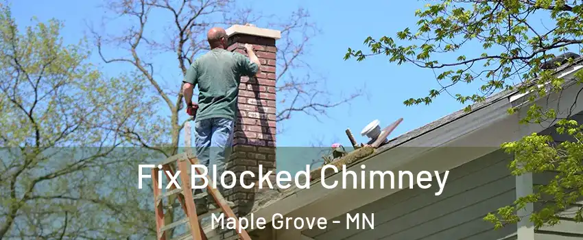  Fix Blocked Chimney Maple Grove - MN