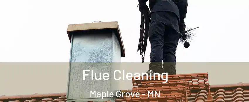  Flue Cleaning Maple Grove - MN
