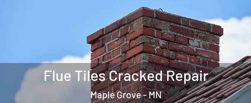  Flue Tiles Cracked Repair Maple Grove - MN