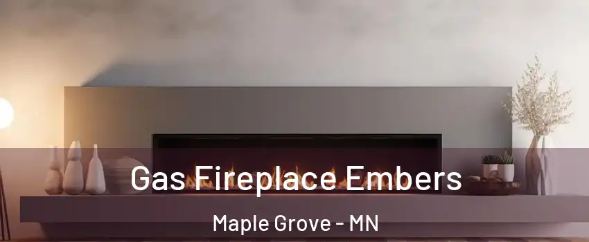  Gas Fireplace Embers Maple Grove - MN