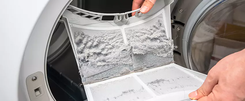 Best Dryer Lint Removal Company in Maple Grove, Minnesota