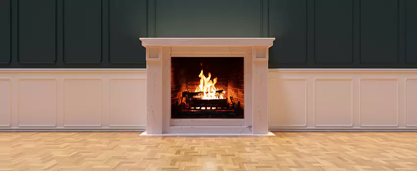 Napoleon Electric Fireplaces Inspection Service in Maple Grove, Minnesota