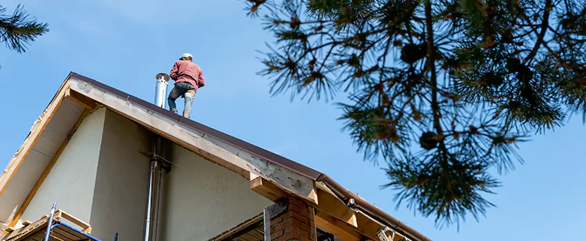 Birds Removal Contractors from Chimney in Maple Grove, MN