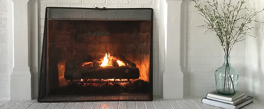 Cost-Effective Fireplace Mantel Inspection And Maintenance in Maple Grove, MN