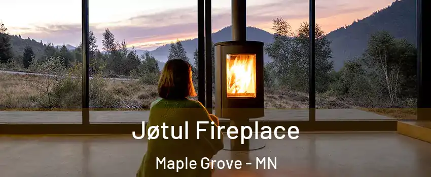  Jøtul Fireplace Maple Grove - MN