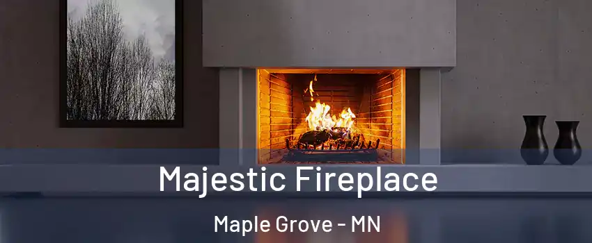  Majestic Fireplace Maple Grove - MN