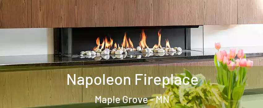  Napoleon Fireplace Maple Grove - MN