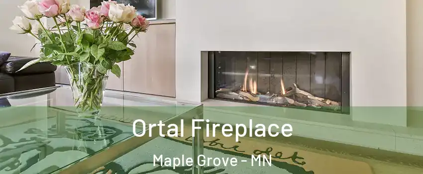 Ortal Fireplace Maple Grove - MN