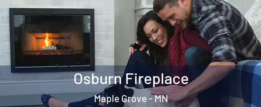  Osburn Fireplace Maple Grove - MN