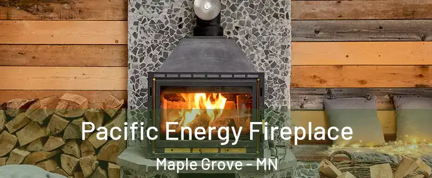  Pacific Energy Fireplace Maple Grove - MN