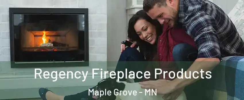  Regency Fireplace Products Maple Grove - MN